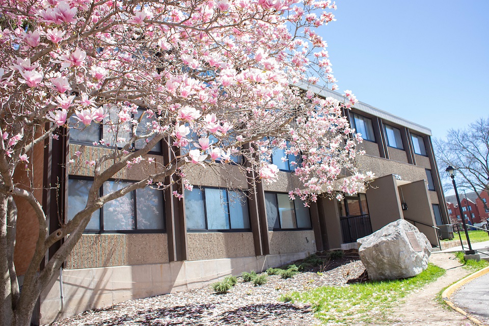 Banks Hall: Community living space with co-ed double-occupancy rooms